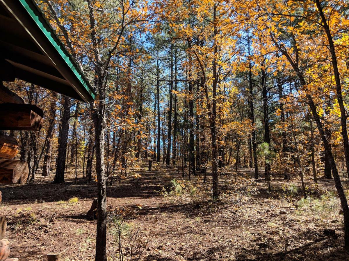 Cozy Cub Log Cabin - Year Round Tranquil Beauty Pinetop-Lakeside Esterno foto