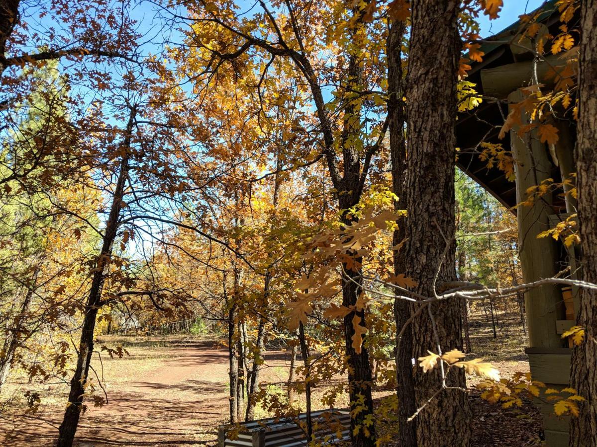 Cozy Cub Log Cabin - Year Round Tranquil Beauty Pinetop-Lakeside Esterno foto