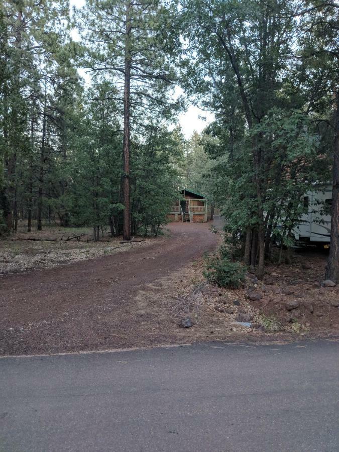 Cozy Cub Log Cabin - Year Round Tranquil Beauty Pinetop-Lakeside Esterno foto